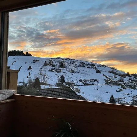 Horská chata Les Gelinottes - Avec Sauna Prive La Bresse