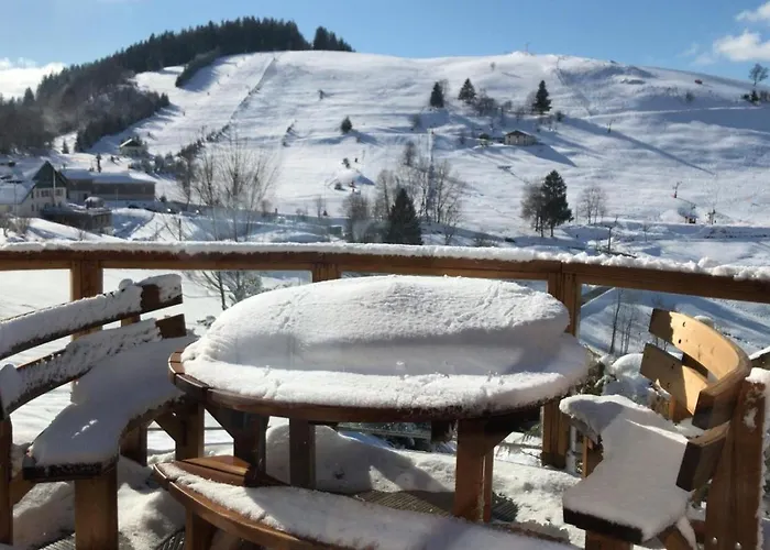 Les Gelinottes - Avec Sauna Prive Chalet